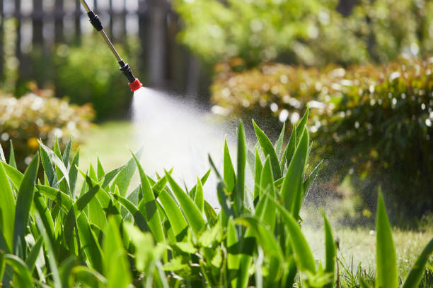 24/7 Emergency Mosquito Control experts in Colonia, NJ