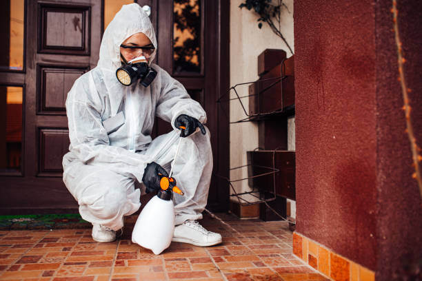 Reliable Mosquito Control contractor in Colonia, NJ by Show Me Pest Control
